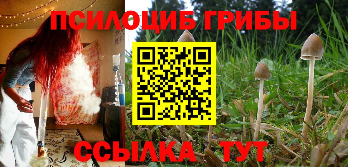 Галлюциногенные грибы GOLDEN TEACHER Владимир
