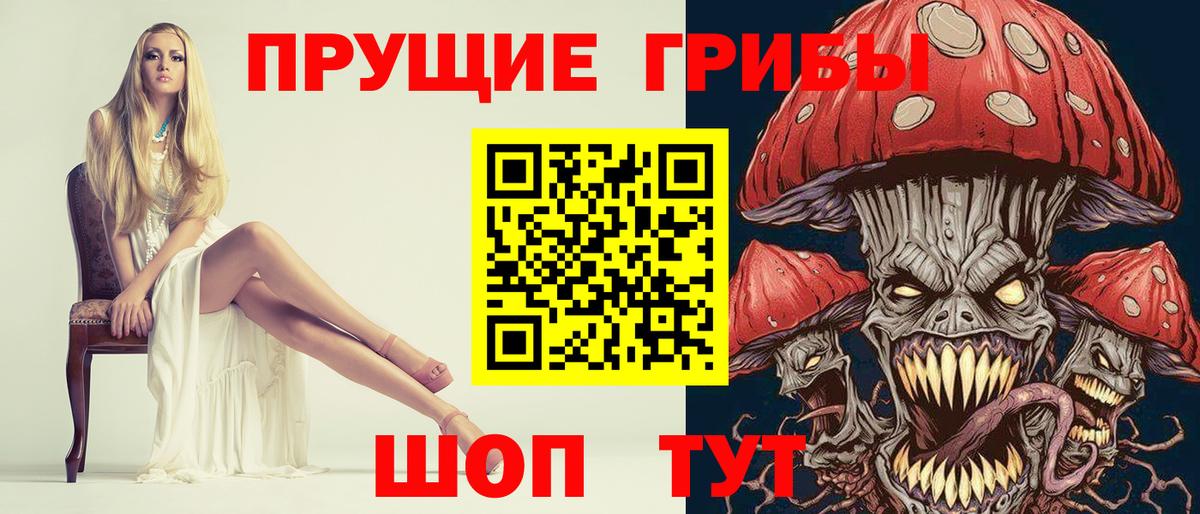 Псилоцибиновые грибы Cubensis  Вход с VPN  Владимир 
